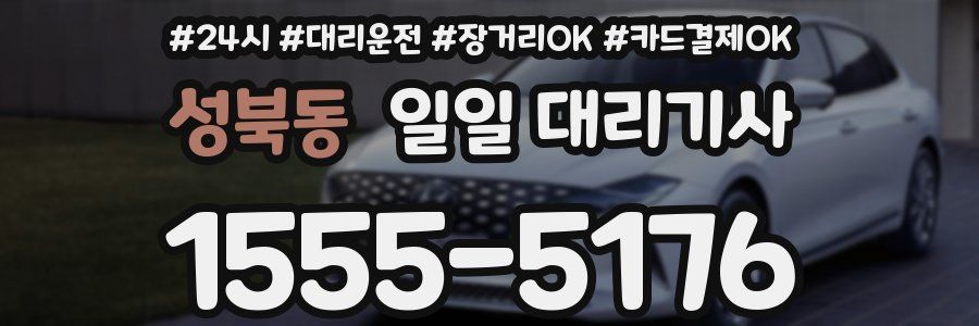 성북동 일일 대리기사