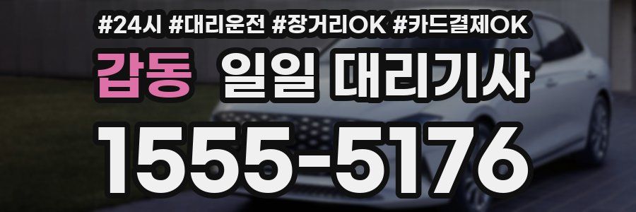 갑동 일일 대리기사