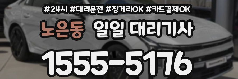 노은동 일일 대리기사