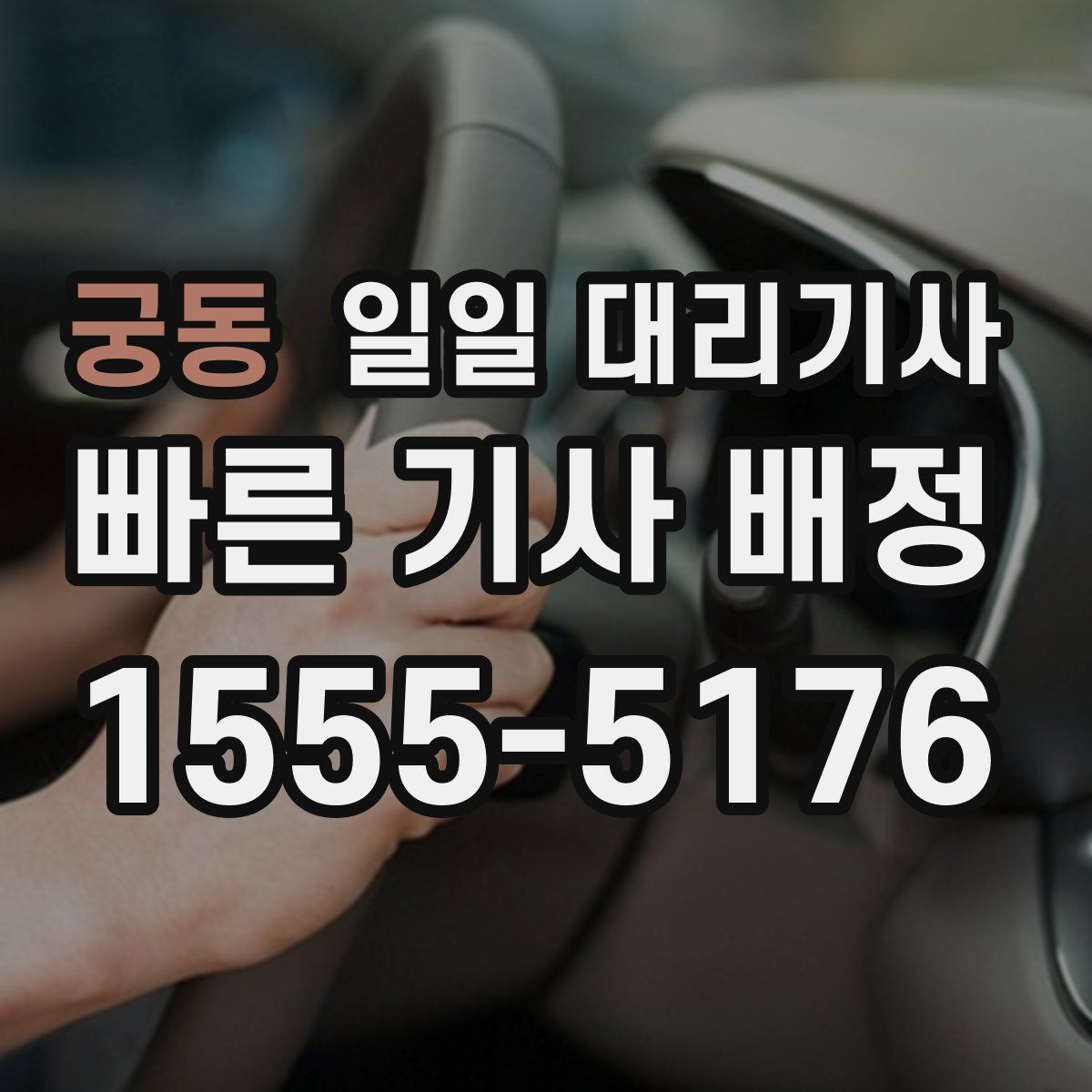 궁동 일일 대리기사