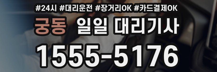 궁동 일일 대리기사