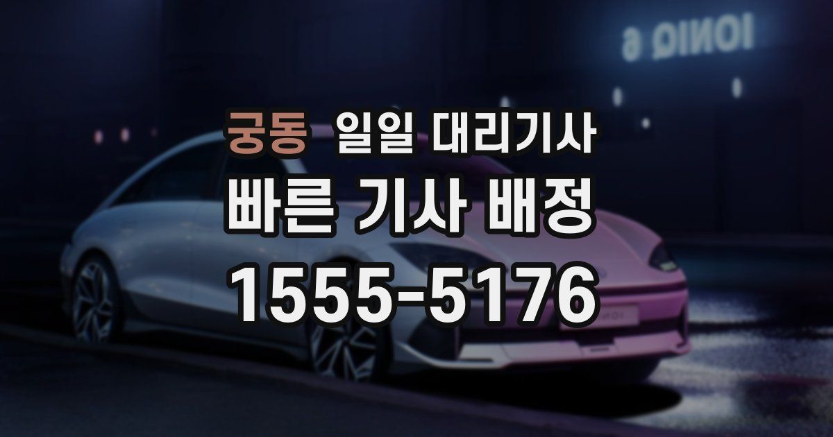 궁동 일일 대리기사