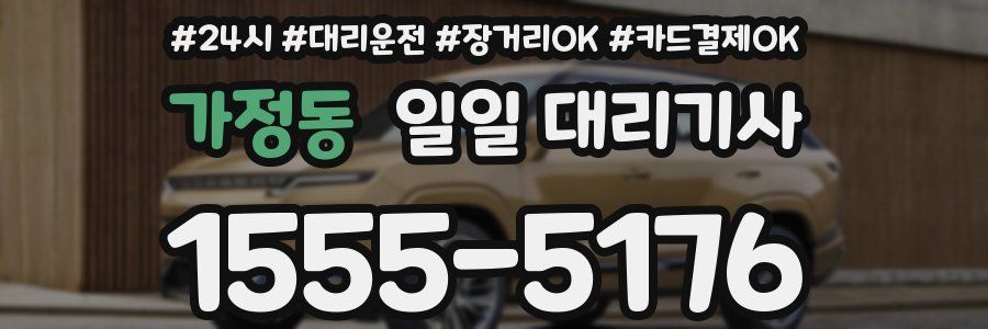 가정동 일일 대리기사