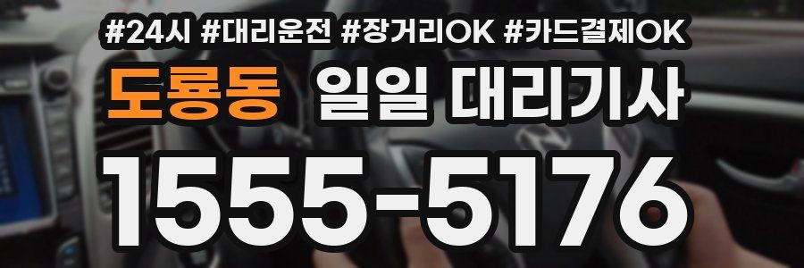 도룡동 일일 대리기사