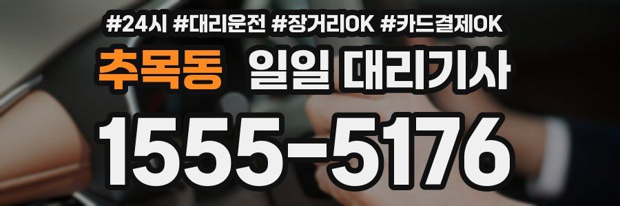 추목동 일일 대리기사