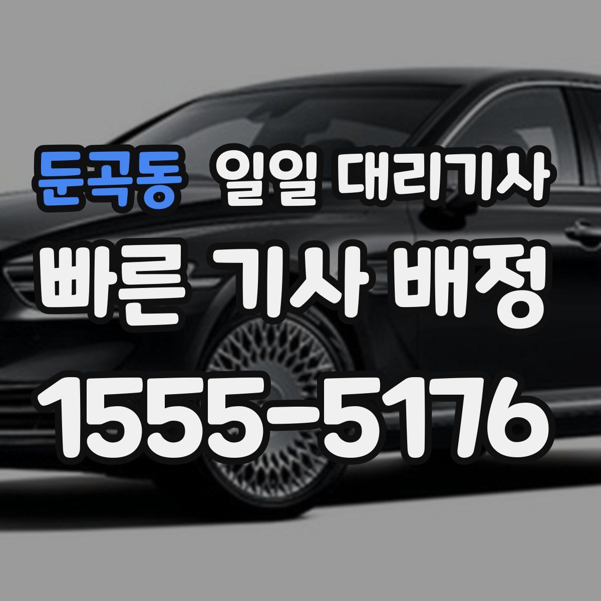 둔곡동 일일 대리기사