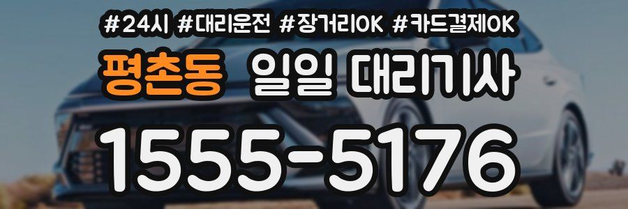 평촌동 일일 대리기사