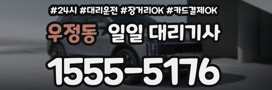 우정동 일일 대리기사