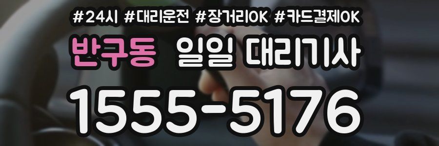 반구동 일일 대리기사