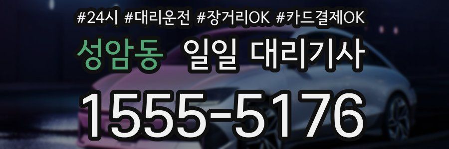 성암동 일일 대리기사