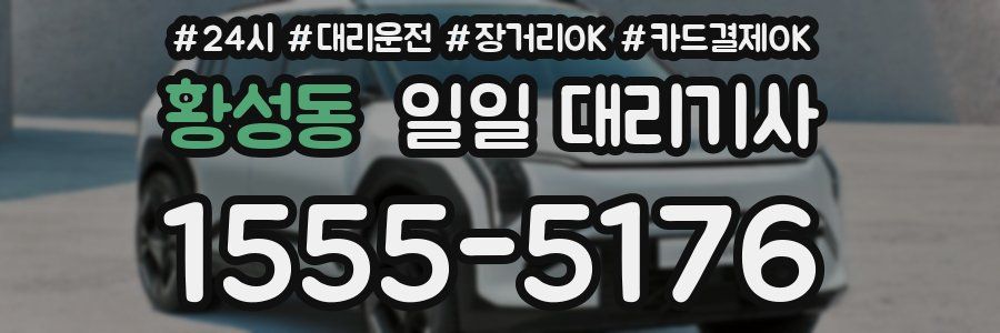 황성동 일일 대리기사