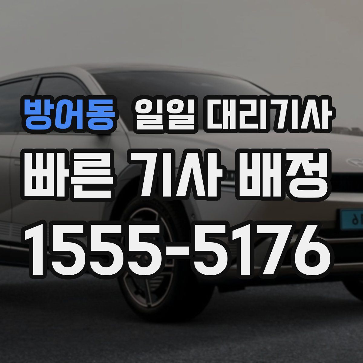 방어동 일일 대리기사