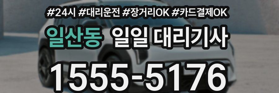 일산동 일일 대리기사