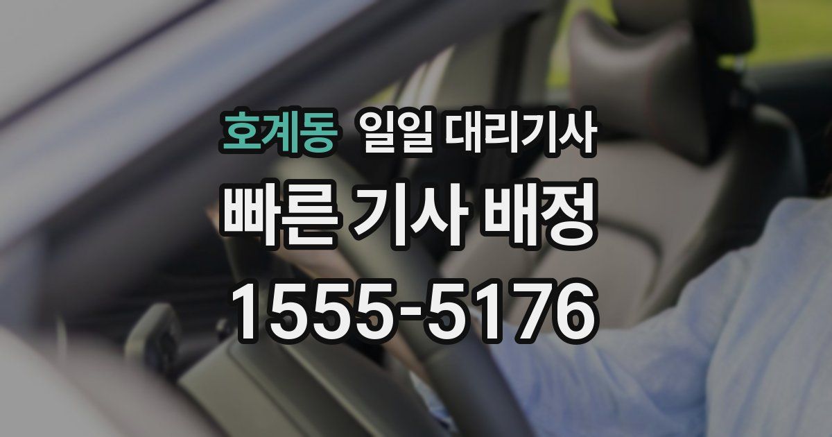 호계동 일일 대리기사
