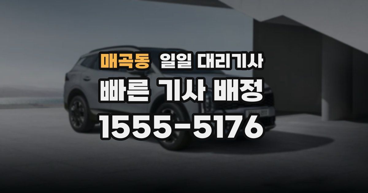 매곡동 일일 대리기사