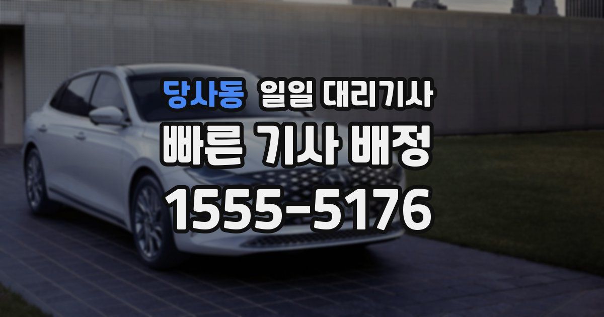 당사동 일일 대리기사