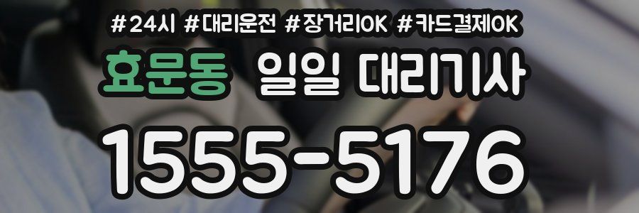 효문동 일일 대리기사
