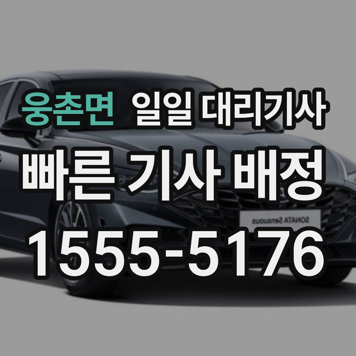 웅촌면 일일 대리기사