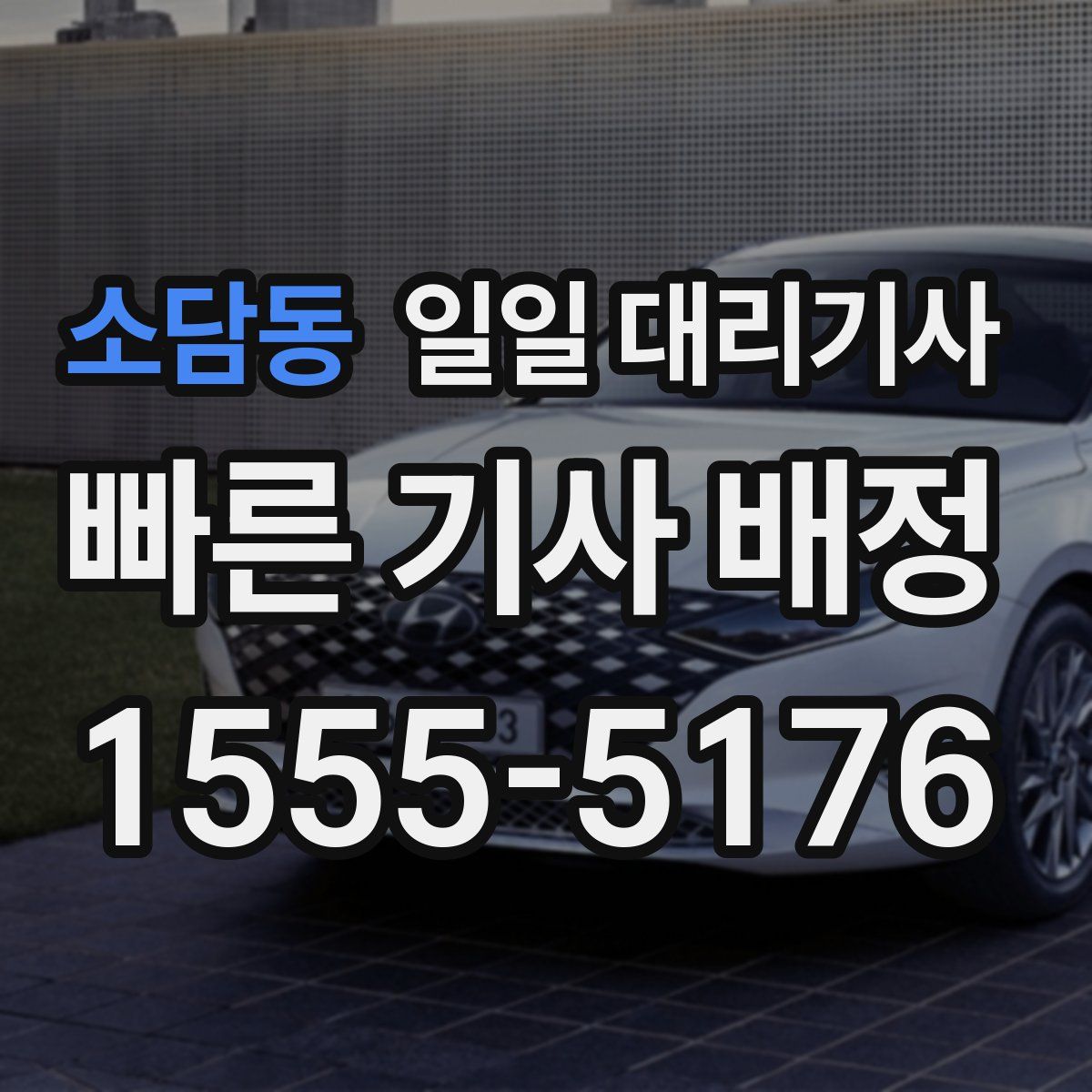 소담동 일일 대리기사