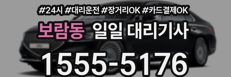 보람동 일일 대리기사