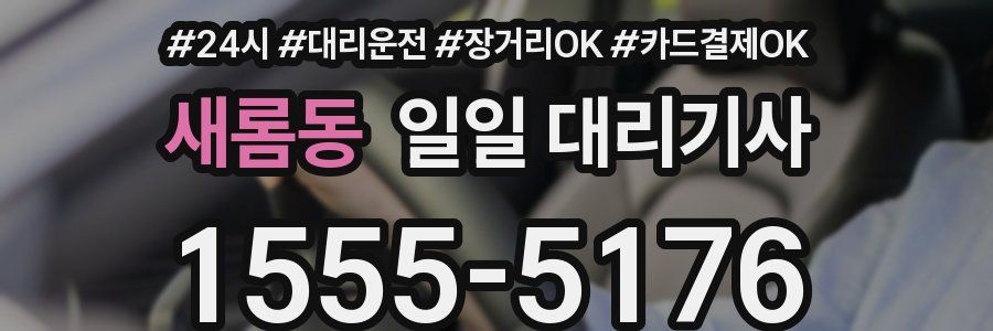 새롬동 일일 대리기사