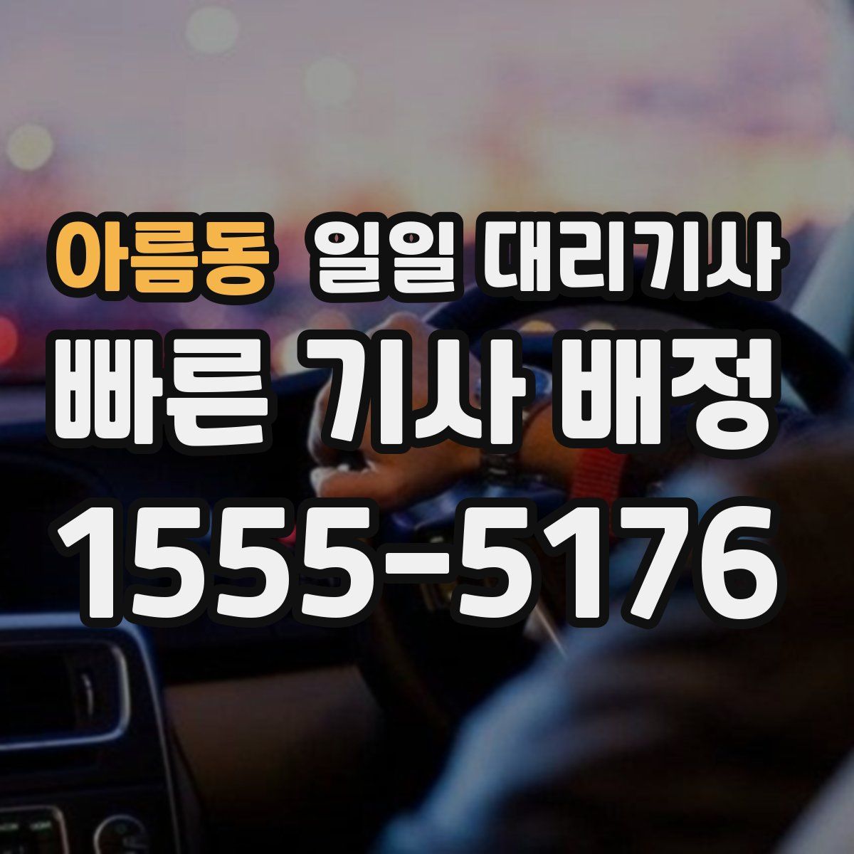아름동 일일 대리기사