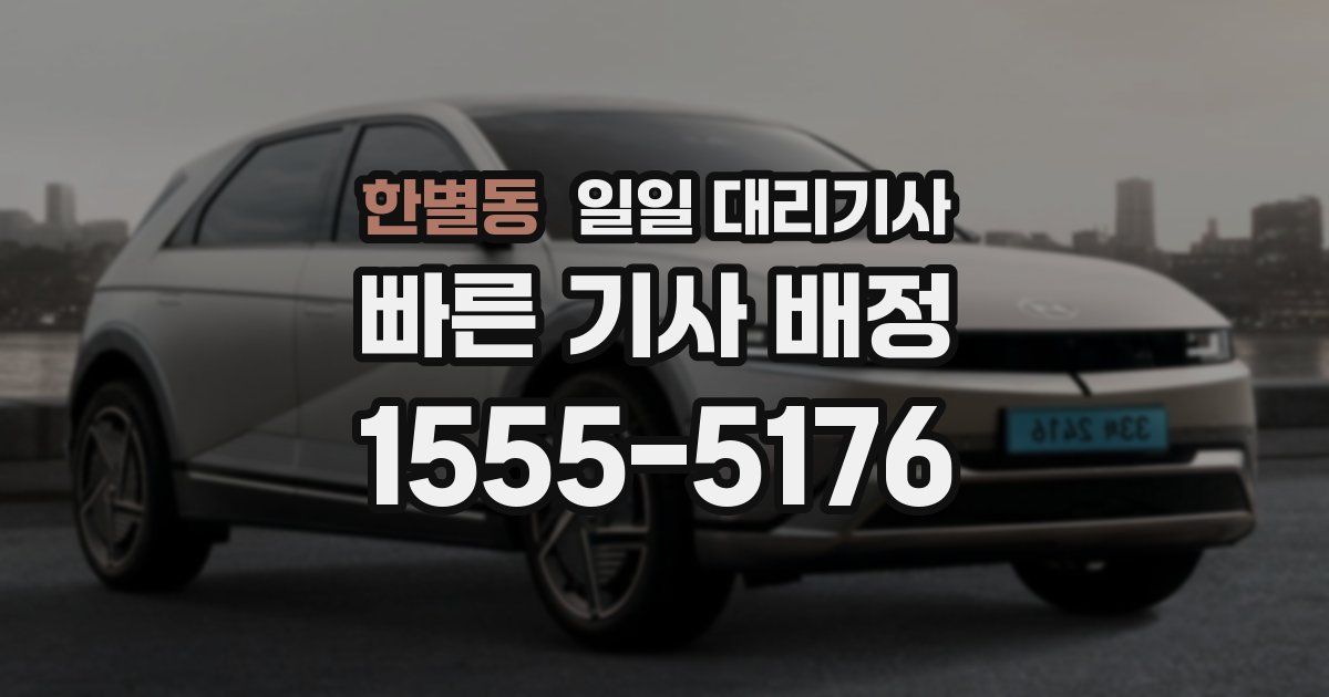 한별동 일일 대리기사