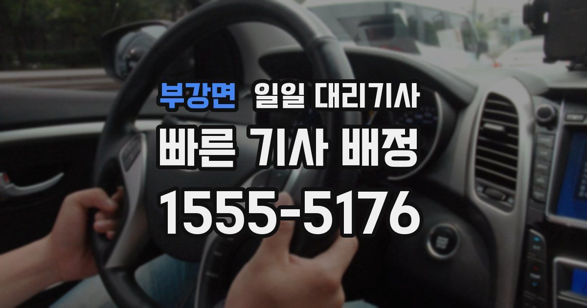 부강면 일일 대리기사