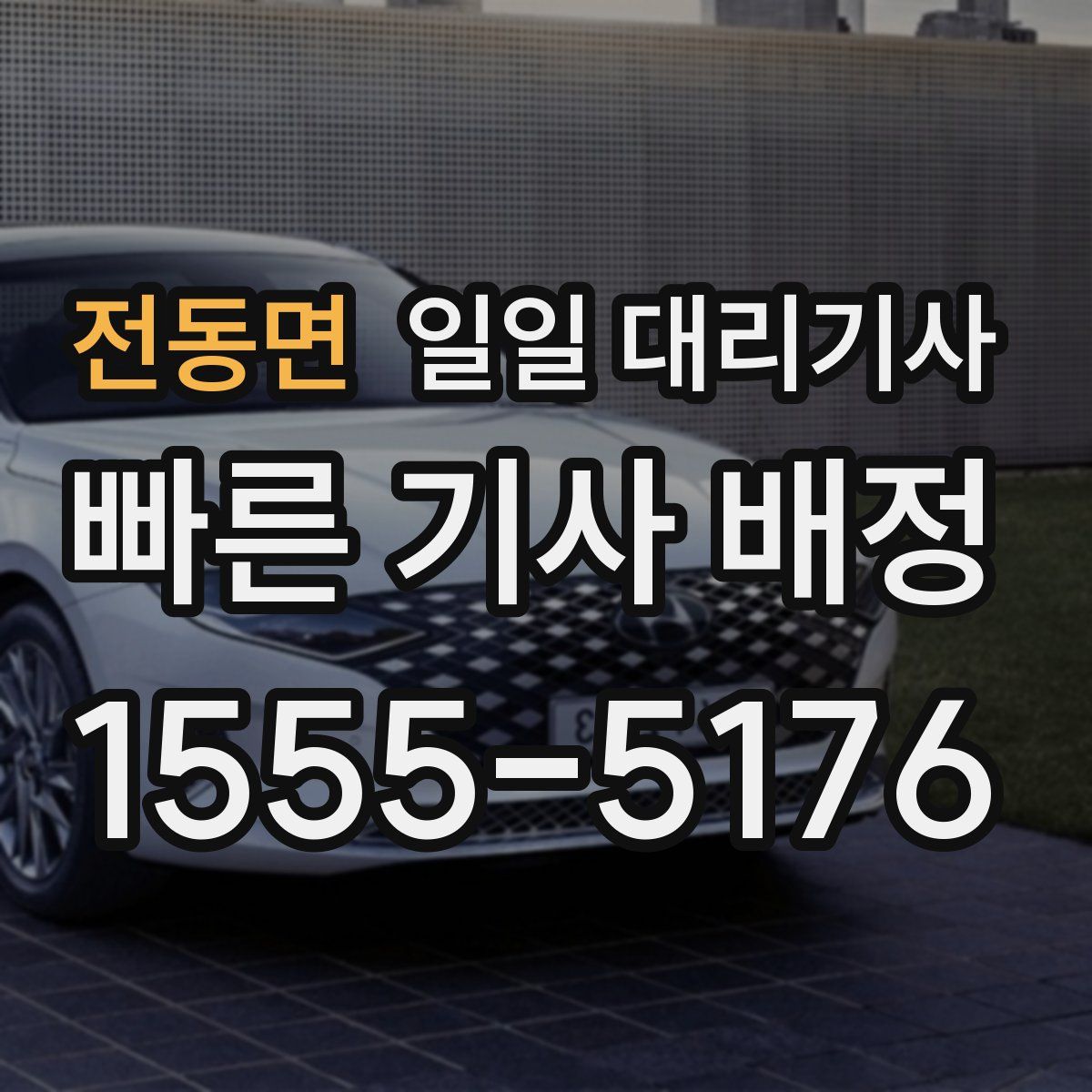 전동면 일일 대리기사