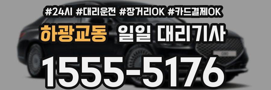 하광교동 일일 대리기사