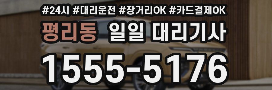 평리동 일일 대리기사
