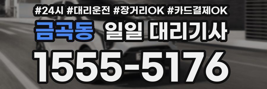 금곡동 일일 대리기사
