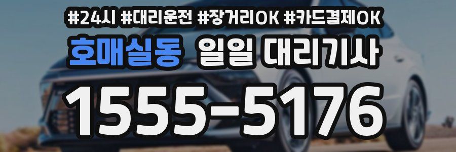호매실동 일일 대리기사