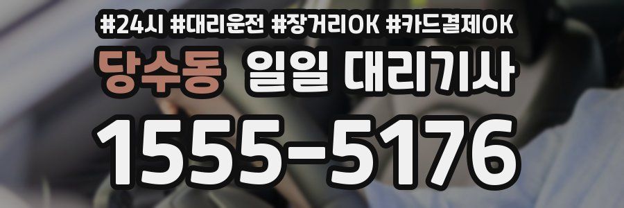 당수동 일일 대리기사