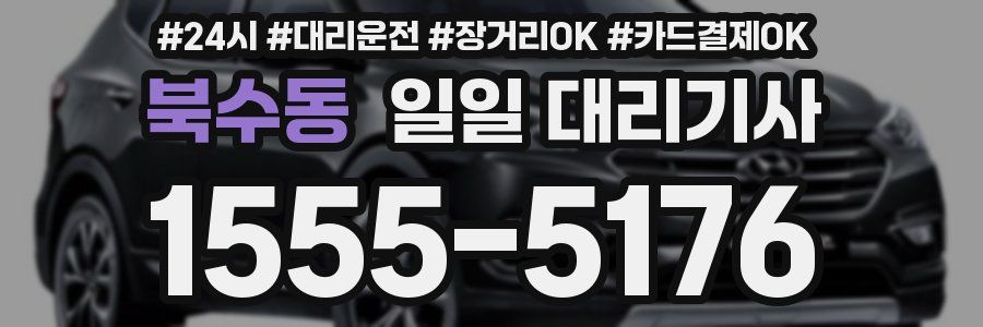 북수동 일일 대리기사