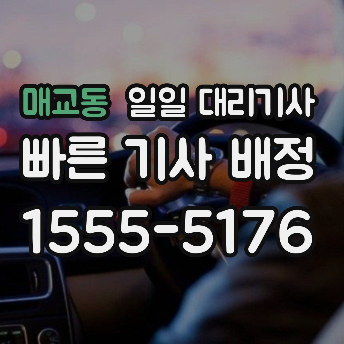 매교동 일일 대리기사