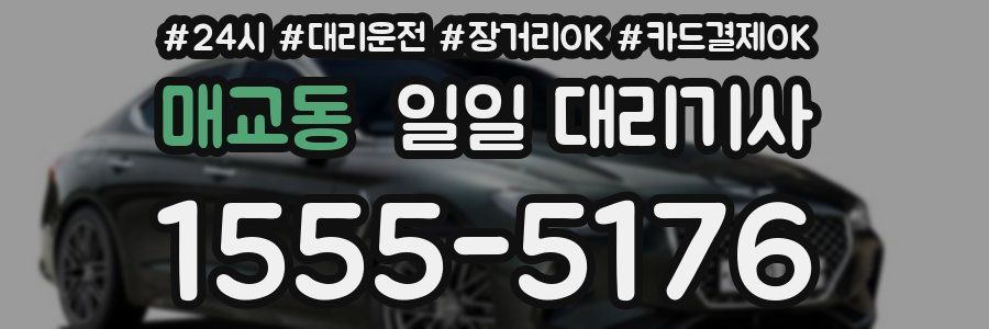 매교동 일일 대리기사