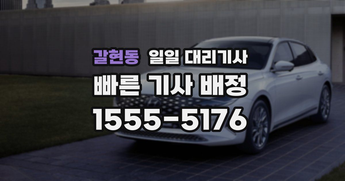 갈현동 일일 대리기사