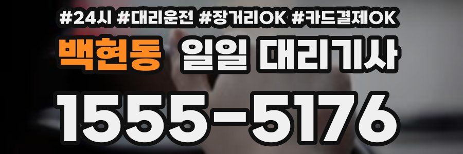 백현동 일일 대리기사