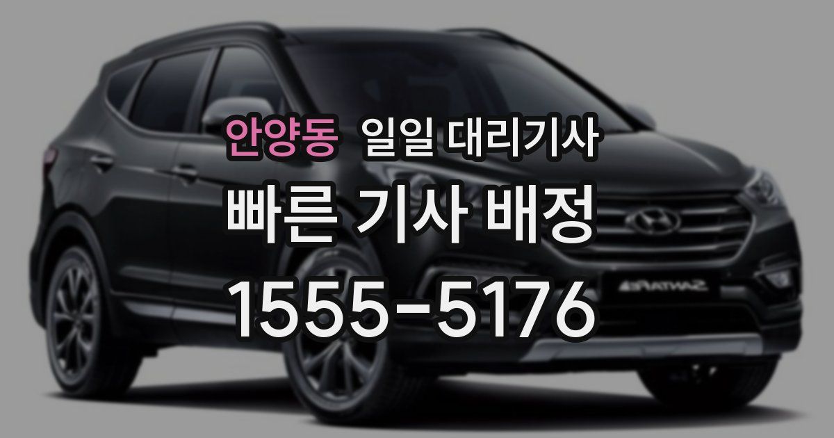 안양동 일일 대리기사