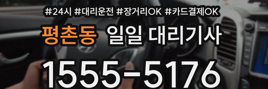 평촌동 일일 대리기사