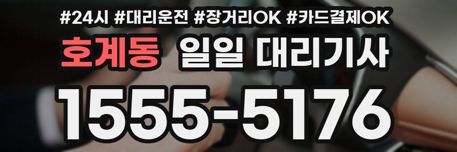 호계동 일일 대리기사