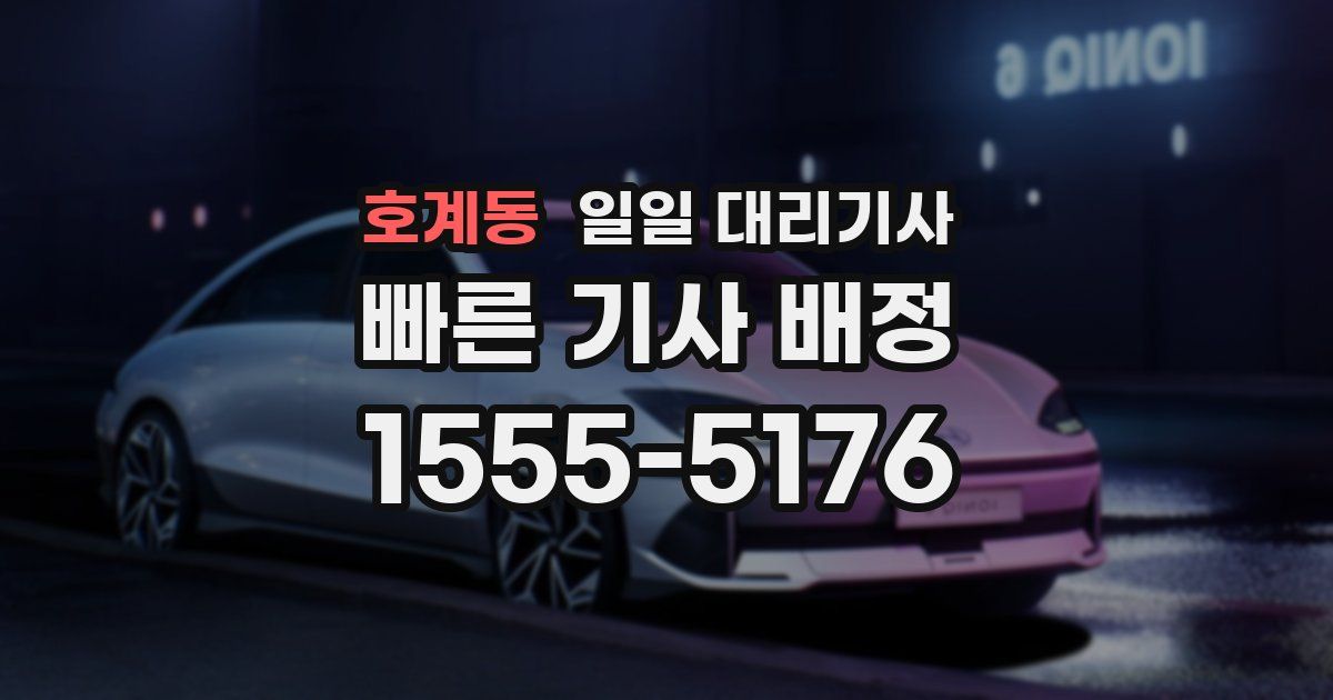 호계동 일일 대리기사