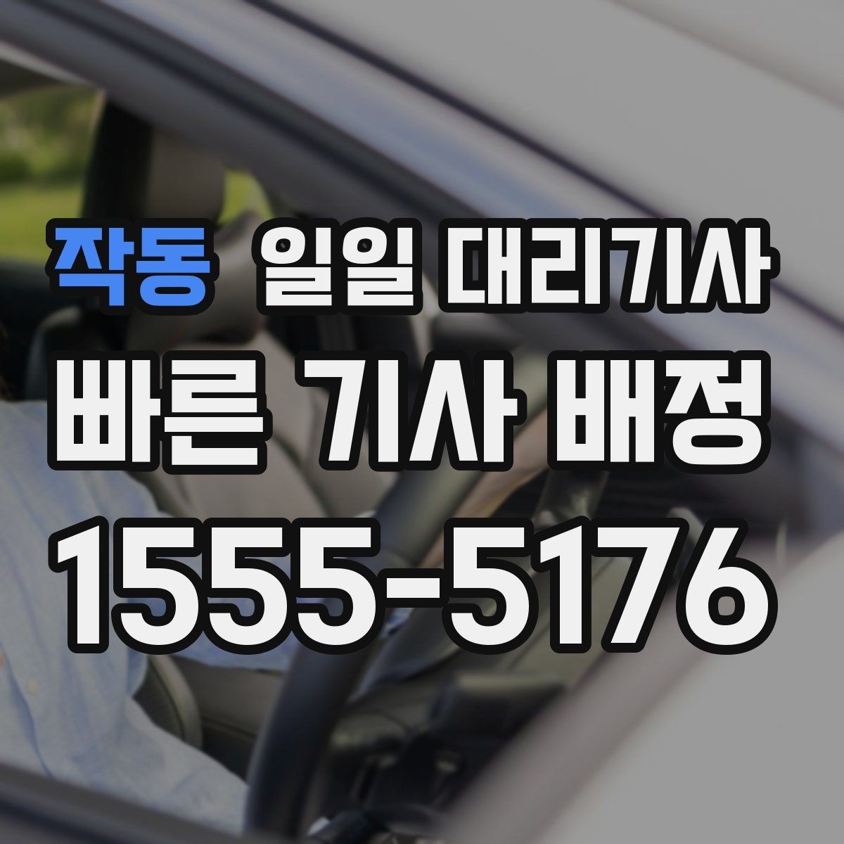 작동 일일 대리기사 서비스 비교 시 자주 보는 요소