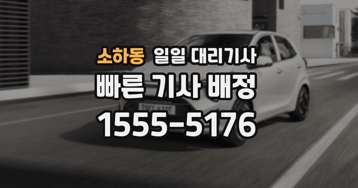 소하동 일일 대리기사