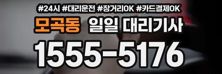 모곡동 일일 대리기사