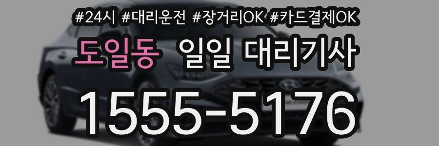 도일동 일일 대리기사