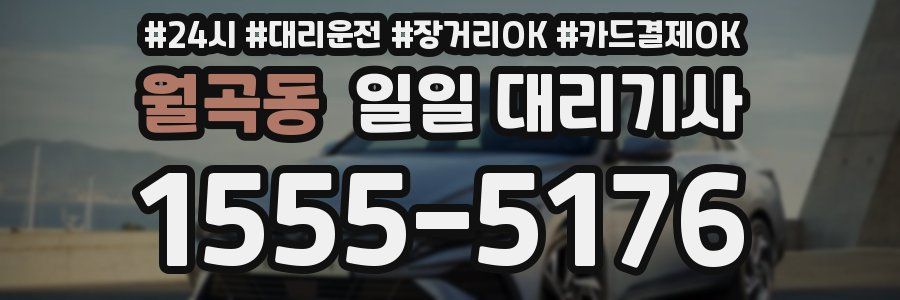 월곡동 일일 대리기사