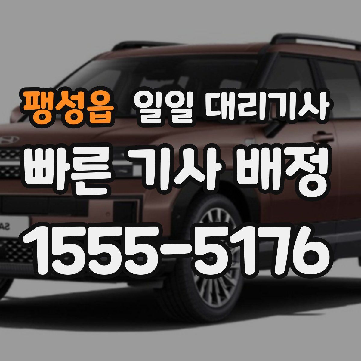 팽성읍 일일 대리기사