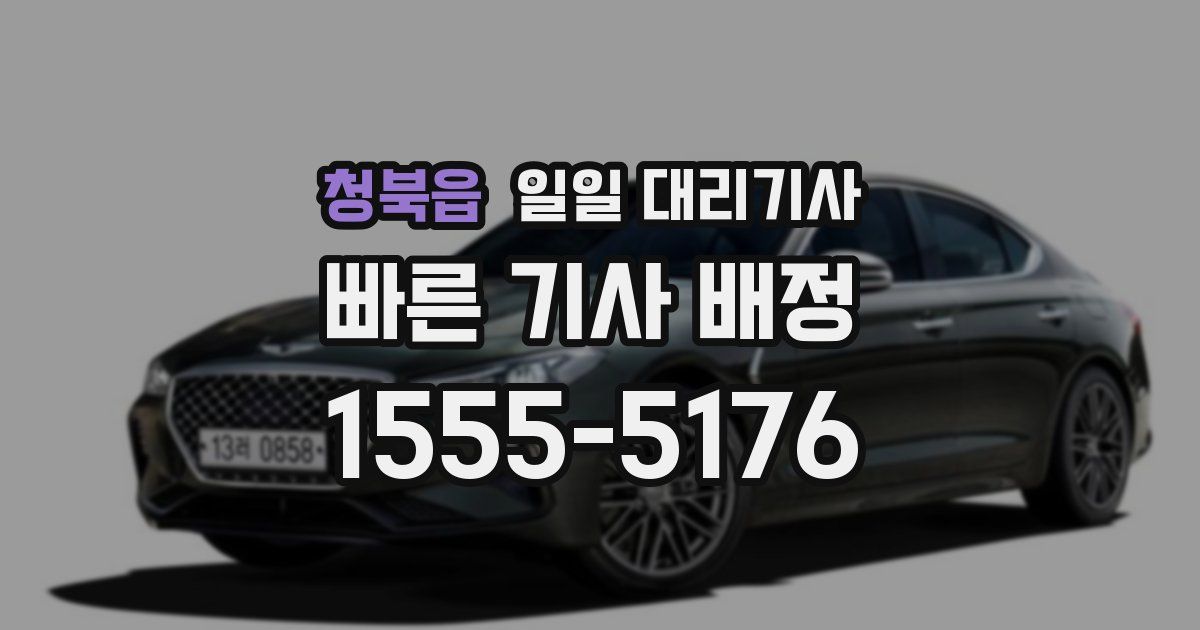 청북읍 일일 대리기사